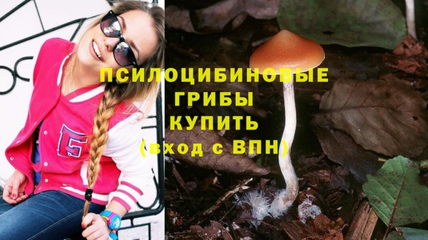 СК Балахна