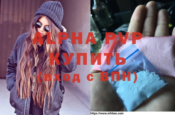 СК Балахна